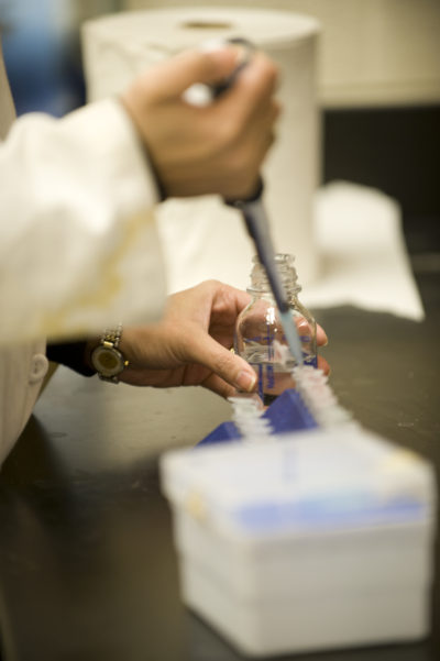 Working in the lab photo